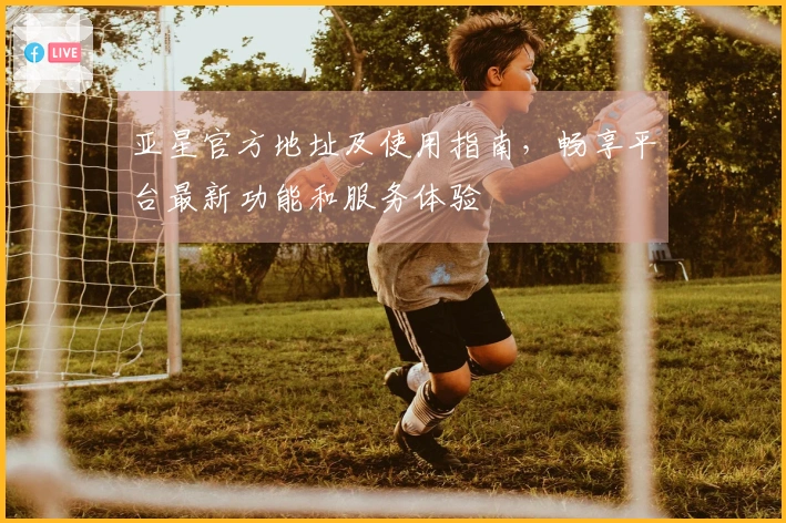 亚星官方地址及使用指南,畅享平台最新功能和服务体验