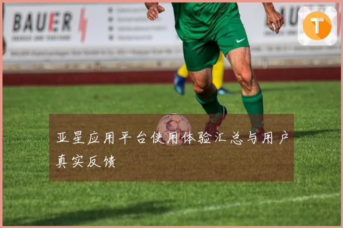 亚星应用平台使用体验汇总与用户真实反馈
