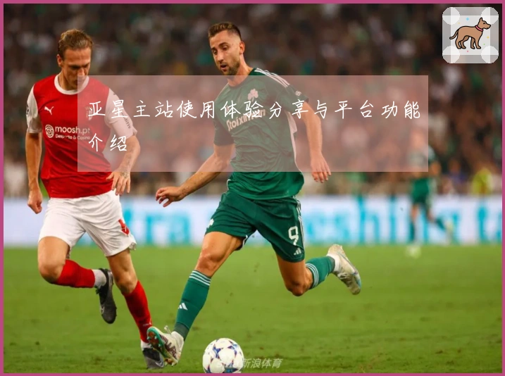 亚星主站使用体验分享与平台功能介绍