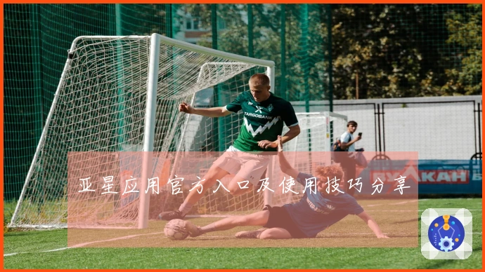 亚星应用官方入口及使用技巧分享